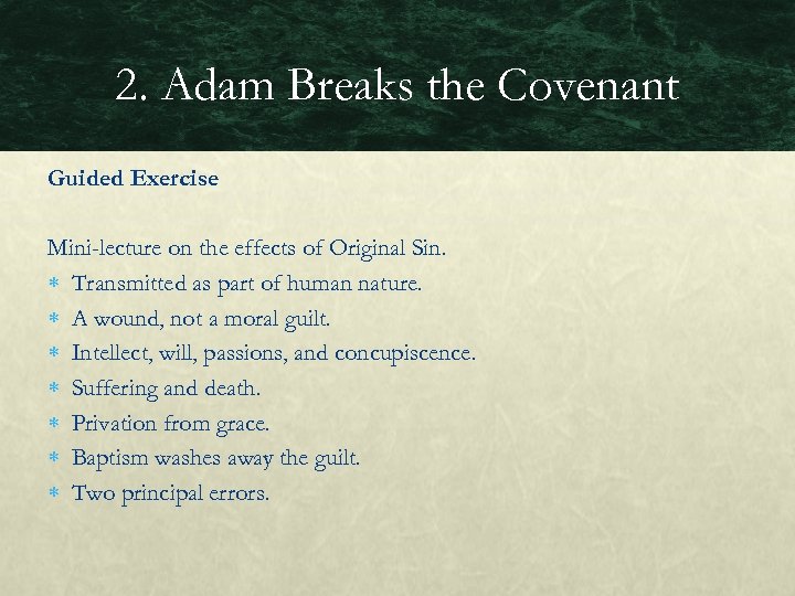 2. Adam Breaks the Covenant Guided Exercise Mini-lecture on the effects of Original Sin.