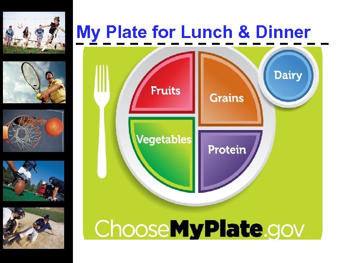 My Plate for Lunch & Dinner 