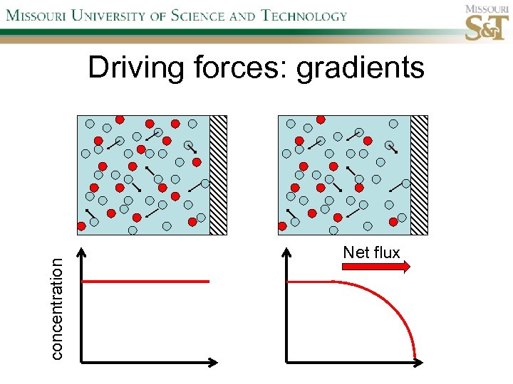 concentration Driving forces: gradients Net flux 