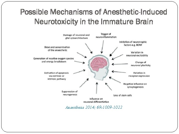 Possible Mechanisms of Anesthetic-Induced Neurotoxicity in the Immature Brain Anaesthesia 2014; 69: 1009 -1022