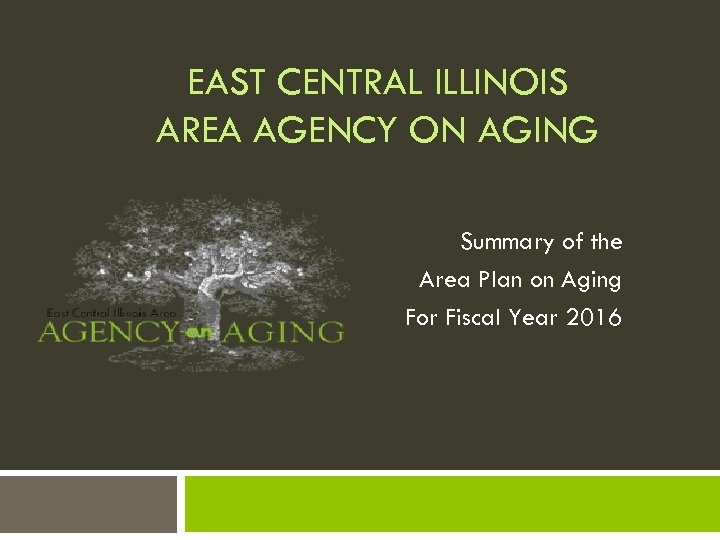 EAST CENTRAL ILLINOIS AREA AGENCY ON AGING Summary of the Area Plan on Aging