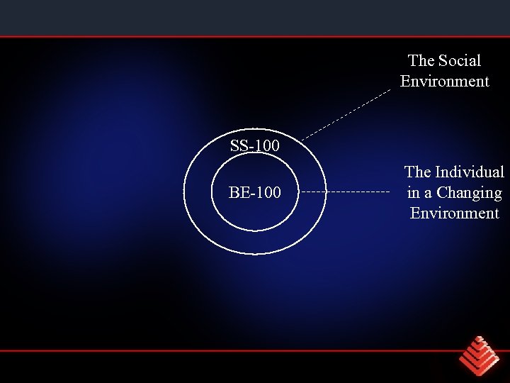 The Social Environment SS-100 BE-100 The Individual in a Changing Environment 