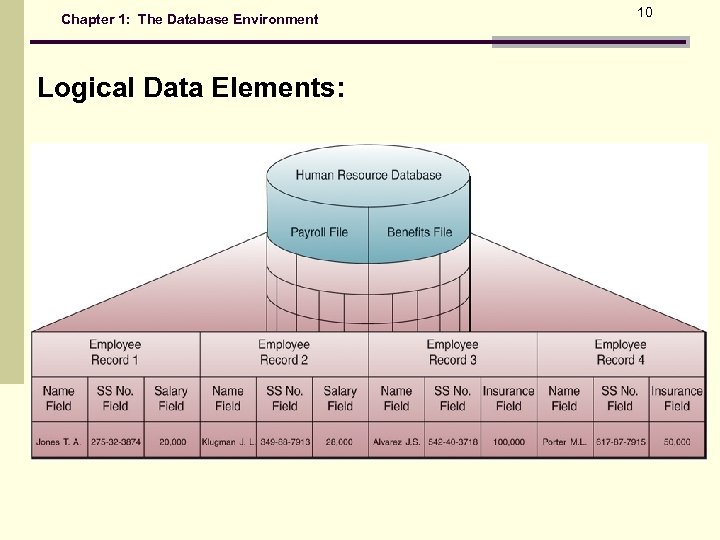 Chapter 1: The Database Environment Logical Data Elements: 10 