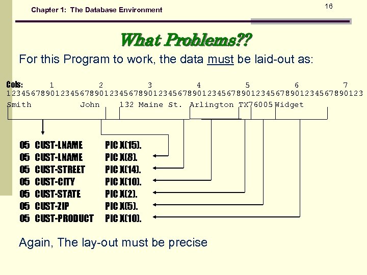 Chapter 1: The Database Environment 16 What Problems? ? For this Program to work,