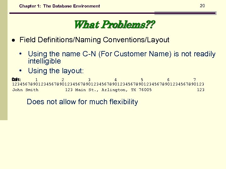 Chapter 1: The Database Environment 20 What Problems? ? Field Definitions/Naming Conventions/Layout • Using