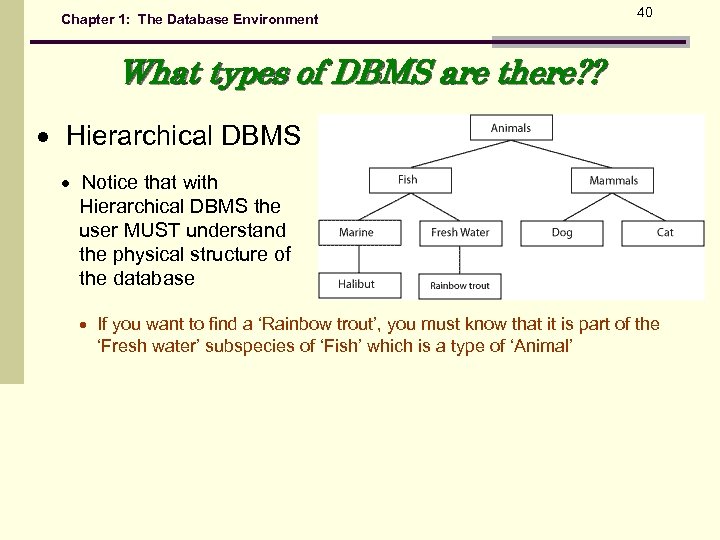 Chapter 1: The Database Environment 40 What types of DBMS are there? ? Hierarchical