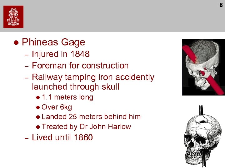 8 l Phineas Gage – – – Injured in 1848 Foreman for construction Railway