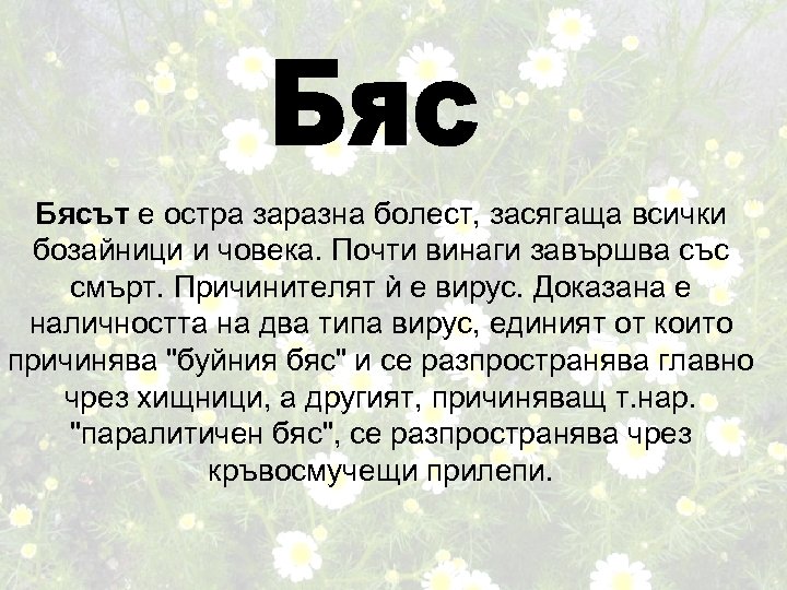 Бясът е остра заразна болест, засягаща всички бозайници и човека. Почти винаги завършва със