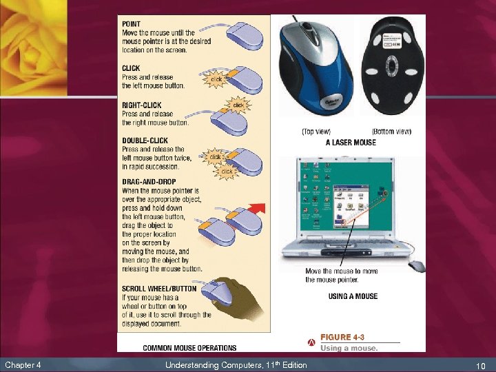 Chapter 4 Understanding Computers, 11 th Edition 10 