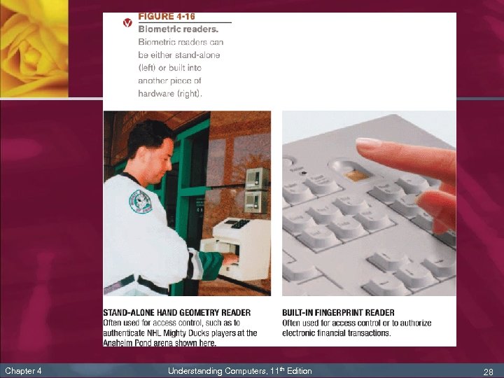 Chapter 4 Understanding Computers, 11 th Edition 28 