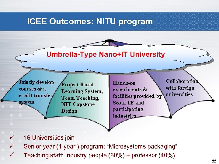 ICEE Outcomes: NITU program Umbrella-Type Nano+IT University Jointly develop courses & a credit transfer