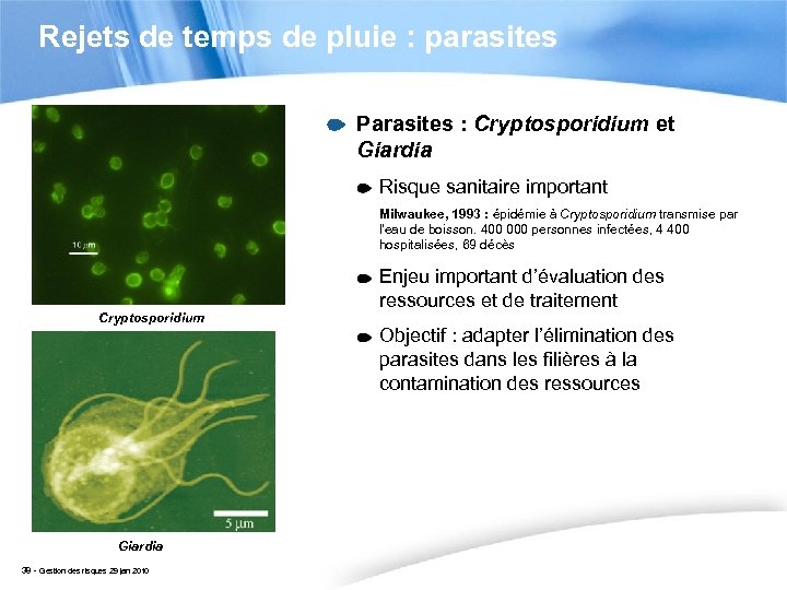 Rejets de temps de pluie : parasites Parasites : Cryptosporidium et Giardia Risque sanitaire