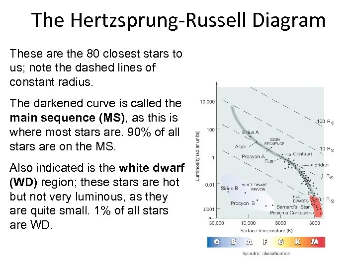 The Hertzsprung-Russell Diagram These are the 80 closest stars to us; note the dashed