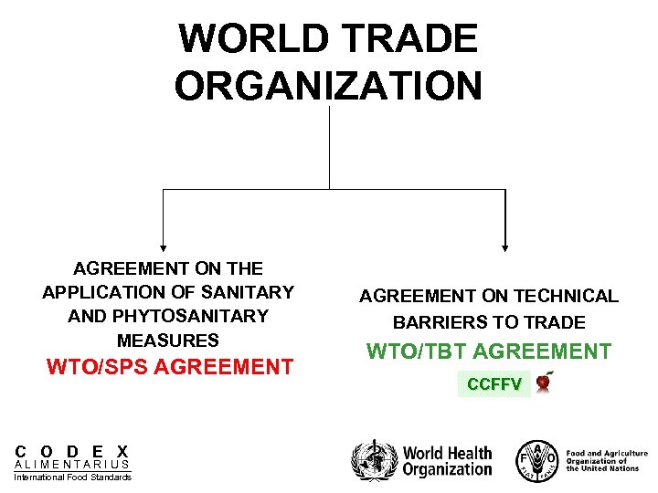 WORLD TRADE ORGANIZATION AGREEMENT ON THE APPLICATION OF SANITARY AND PHYTOSANITARY MEASURES WTO/SPS AGREEMENT