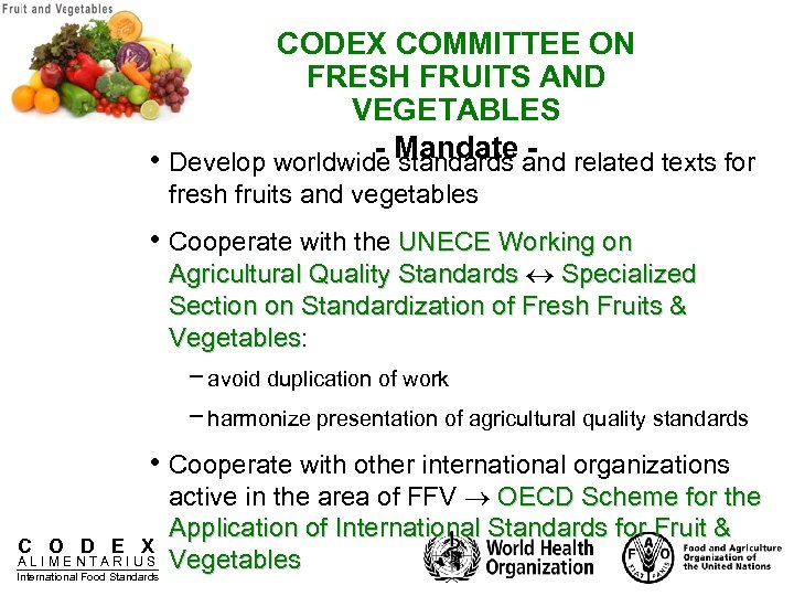CODEX COMMITTEE ON FRESH FRUITS AND VEGETABLES - standards • Develop worldwide Mandate and