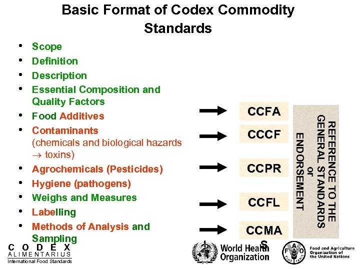 Basic Format of Codex Commodity Standards • • • C O D E X