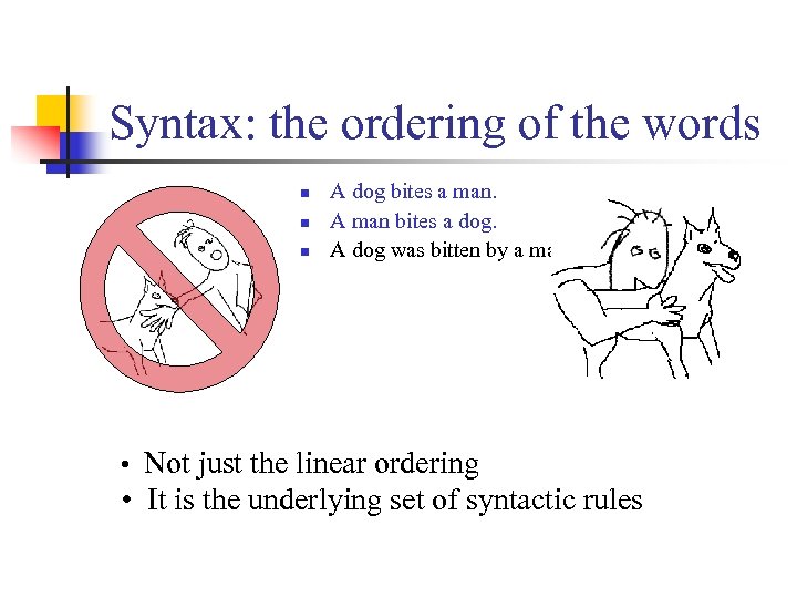 Syntax: the ordering of the words n n n A dog bites a man.