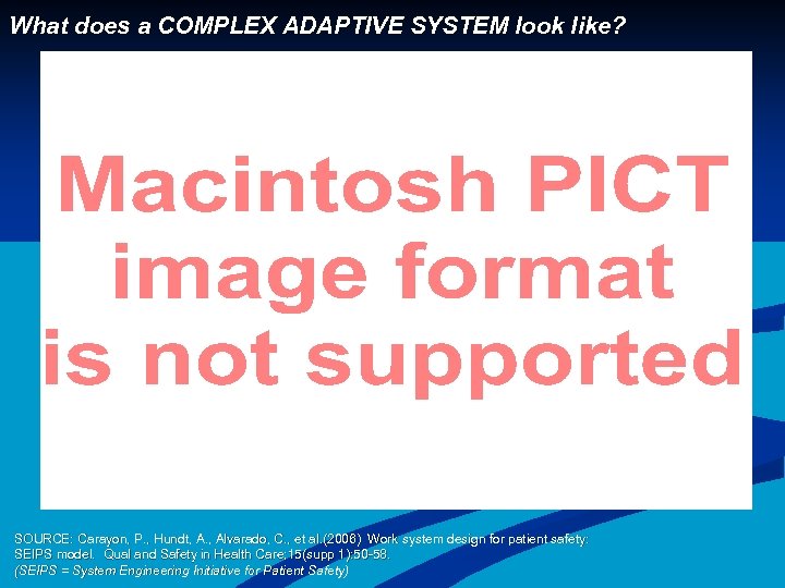 What does a COMPLEX ADAPTIVE SYSTEM look like? SOURCE: Carayon, P. , Hundt, A.