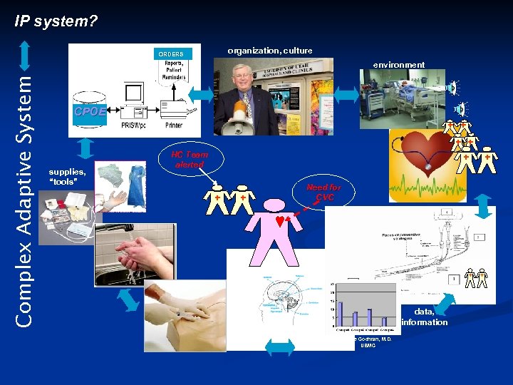 IP system? Complex Adaptive System information, directives organization, culture ORDERS environment CPOE + +