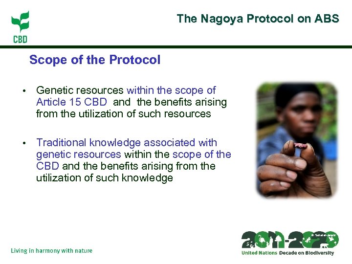 The Nagoya Protocol on ABS Scope of the Protocol • Genetic resources within the