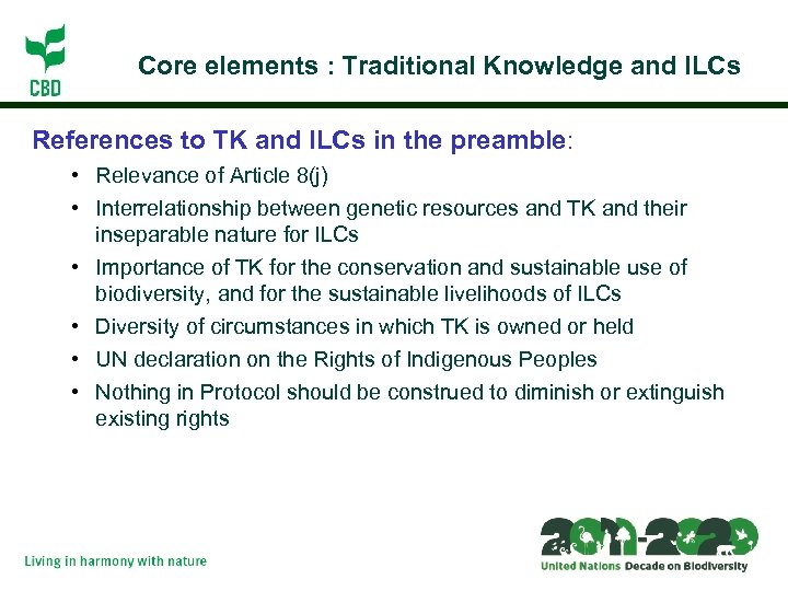 Core elements : Traditional Knowledge and ILCs References to TK and ILCs in the