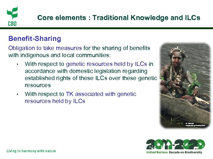 Core elements : Traditional Knowledge and ILCs Benefit-Sharing Obligation to take measures for the