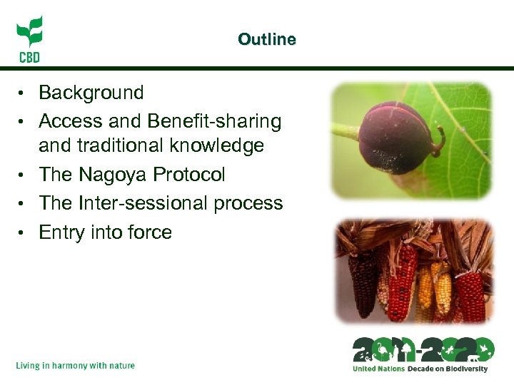 Outline • Background • Access and Benefit-sharing and traditional knowledge • The Nagoya Protocol