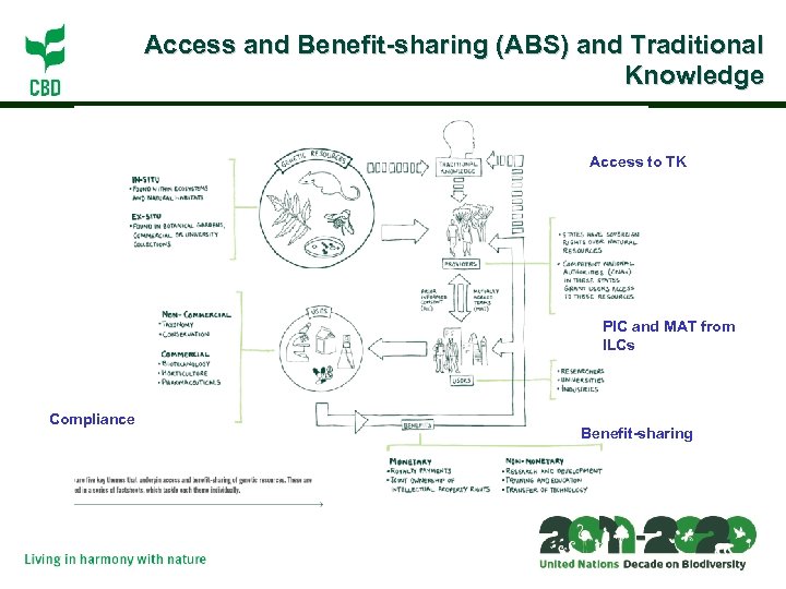 Access and Benefit-sharing (ABS) and ¿ The ? Traditional Knowledge Access to TK PIC