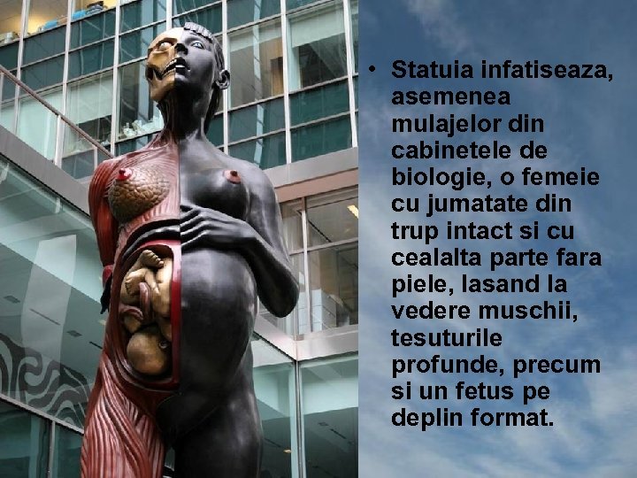  • Statuia infatiseaza, asemenea mulajelor din cabinetele de biologie, o femeie cu jumatate