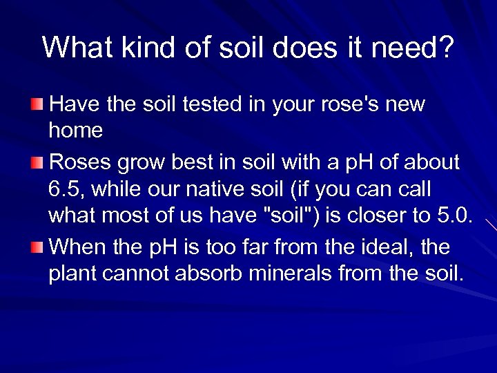 What kind of soil does it need? Have the soil tested in your rose's