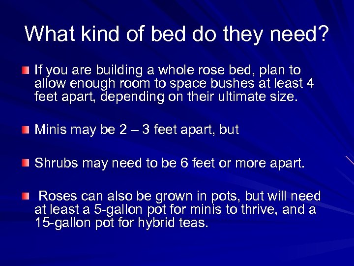 What kind of bed do they need? If you are building a whole rose