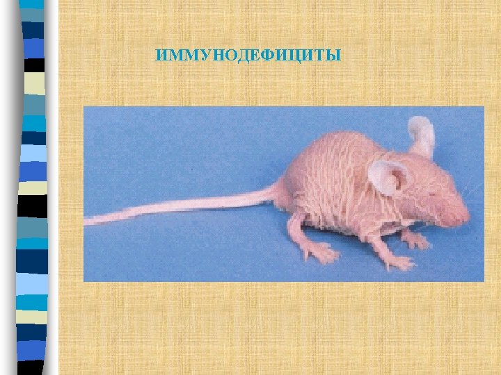 ИММУНОДЕФИЦИТЫ 