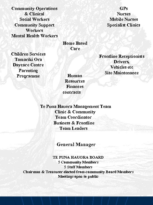 Community Operations & Clinical Social Workers Community Support Workers Mental Health Workers GPs Nurses