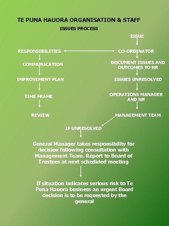 TE PUNA HAUORA ORGANISATION & STAFF ISSUES PROCESS ISSUE RESPONSIBILITIES CO-ORDINATOR DOCUMENT ISSUES AND