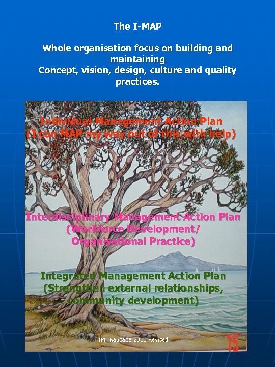 The I-MAP Whole organisation focus on building and maintaining Concept, vision, design, culture and