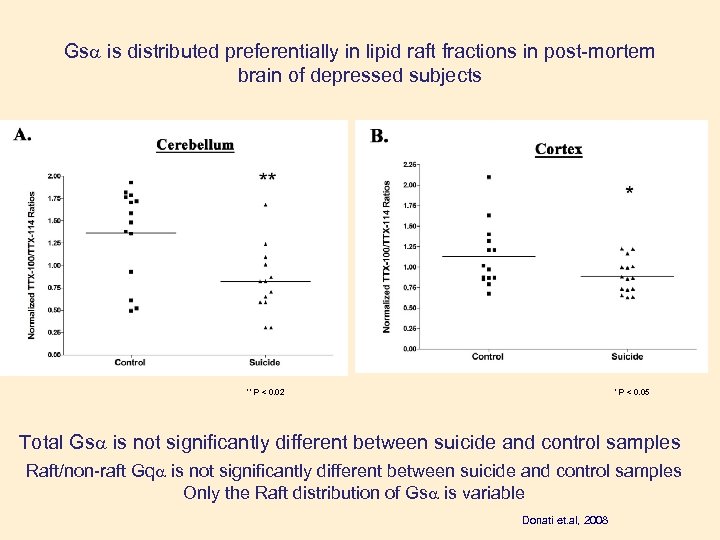 Gs is distributed preferentially in lipid raft fractions in post-mortem brain of depressed subjects