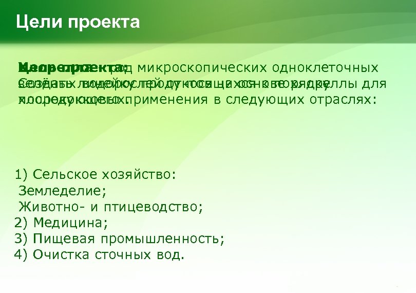 Цели проекта Хлорелла – род микроскопических одноклеточных Цель проекта: Создать водорослей относящихся к порядку