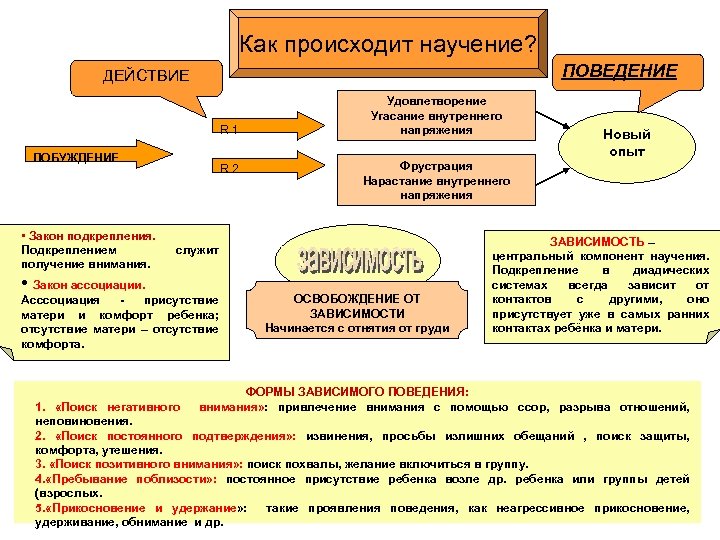 Как происходит научение? ПОВЕДЕНИЕ ДЕЙСТВИЕ R 1 ПОБУЖДЕНИЕ • Закон подкрепления. Подкреплением получение внимания.