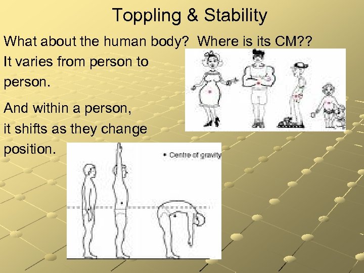 Toppling & Stability What about the human body? Where is its CM? ? It