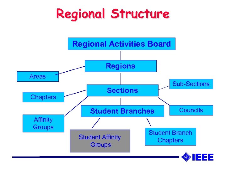 Regional Structure Regional Activities Board Regions Areas Chapters Sub-Sections Student Branches Affinity Groups Student