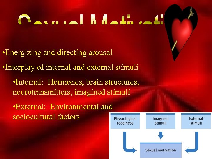  • Energizing and directing arousal • Interplay of internal and external stimuli •