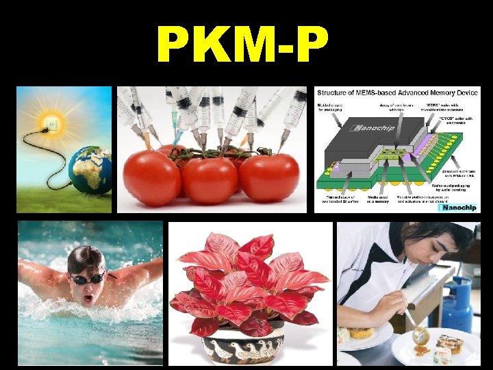 PKM-P 