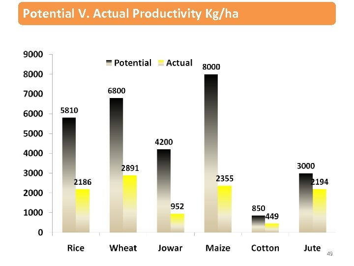 Potential V. Actual Productivity Kg/ha 49 