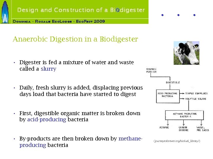 Anaerobic Digestion in a Biodigester • Digester is fed a mixture of water and