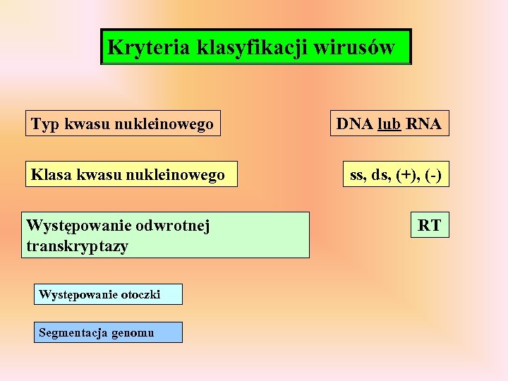 Kryteria klasyfikacji wirusów Typ kwasu nukleinowego Klasa kwasu nukleinowego Występowanie odwrotnej transkryptazy Występowanie otoczki