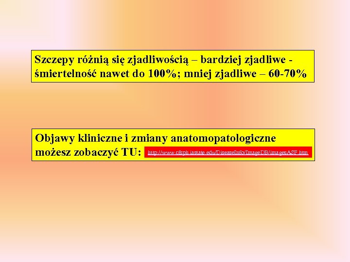 Szczepy różnią się zjadliwością – bardziej zjadliwe śmiertelność nawet do 100%; mniej zjadliwe –