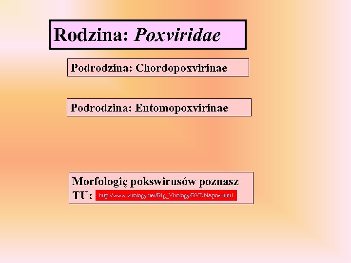 Rodzina: Poxviridae Podrodzina: Chordopoxvirinae Podrodzina: Entomopoxvirinae Morfologię pokswirusów poznasz TU: http: //www. virology. net/Big_Virology/BVDNApox.