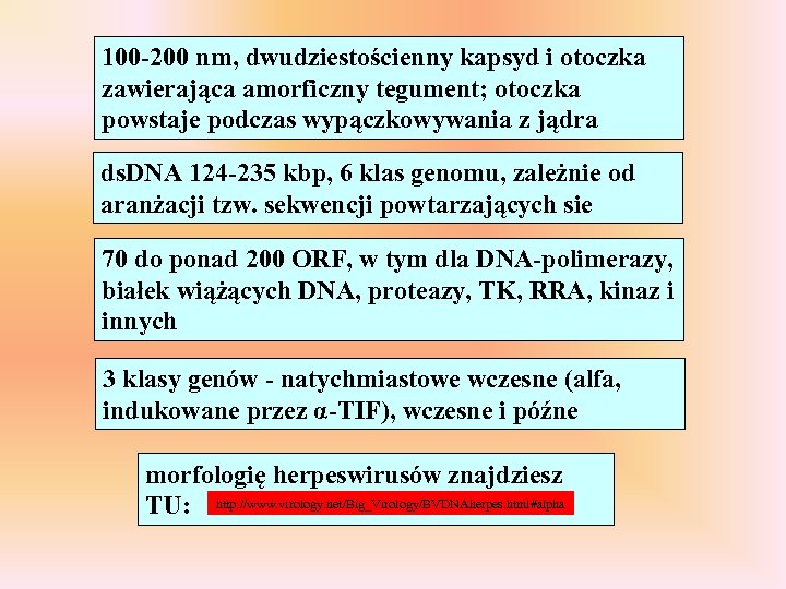 100 -200 nm, dwudziestościenny kapsyd i otoczka zawierająca amorficzny tegument; otoczka powstaje podczas wypączkowywania