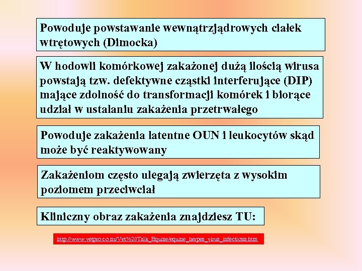 Powoduje powstawanie wewnątrzjądrowych ciałek wtrętowych (Dimocka) W hodowli komórkowej zakażonej dużą ilością wirusa powstają