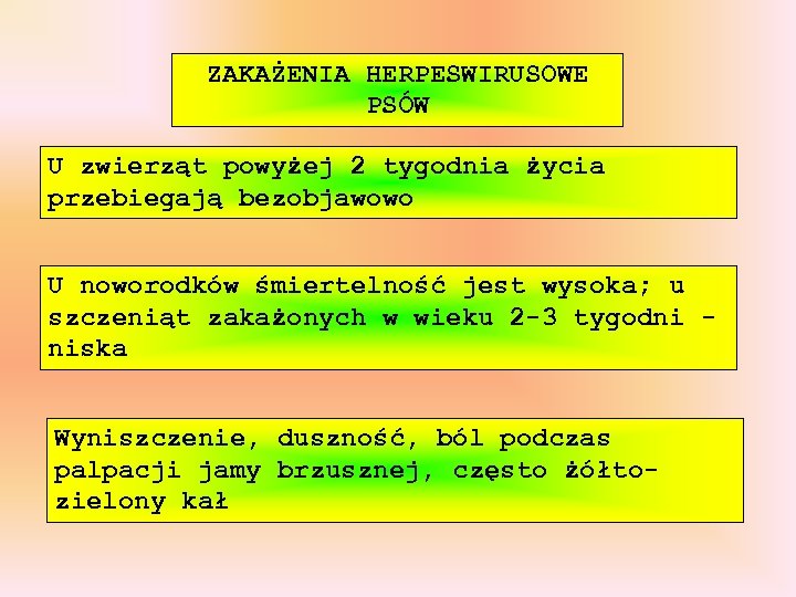 ZAKAŻENIA HERPESWIRUSOWE PSÓW U zwierząt powyżej 2 tygodnia życia przebiegają bezobjawowo U noworodków śmiertelność